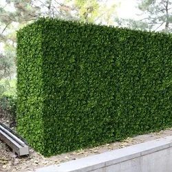 Artificial Grass Wall