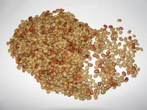 Horse Gram