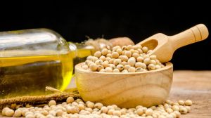 Soyabean Oil