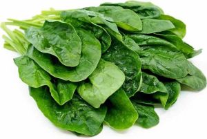 Spinach, Color : Green For Cooking