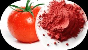 Tomato Powder