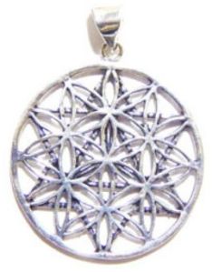 Flower of Life Pendant : Brass with Silver Polish