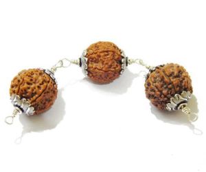 Rudraksha Combination for Wealth and Prosperity