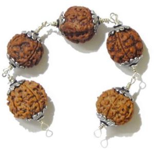 Rudraksha Combination for Will Power &AMP;AMP; Confidence