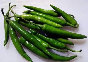 Organic Fresh Green Chilli, Packaging Size : 5-25kg For Cooking