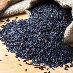 Indian Black Rice 10%, Packaging Size : 5-25kg