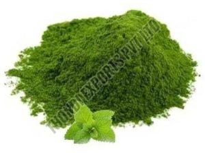 Dehydrated Mint Powder, Color : Green