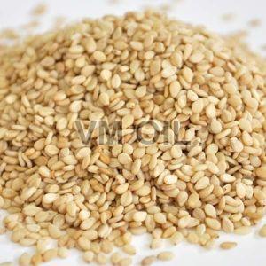 Creamy Hulled Natural Sesame Seeds, For Oil, Packaging Size : 25-50 Kg