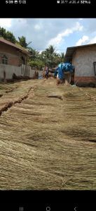 Green Dry Grass Broom Raw Material