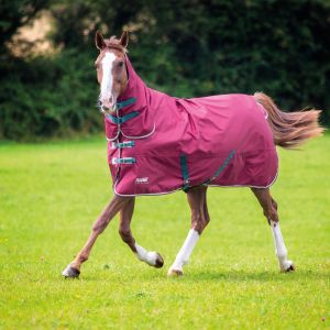 Horse Rugs