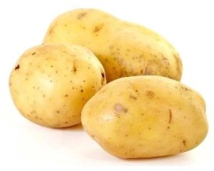 Natural Sugar Free Fresh Potato, Color : Brown, Packaging Type : Bag