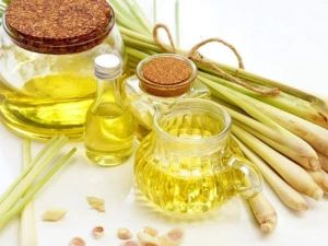 5L Lemon Grass Oil