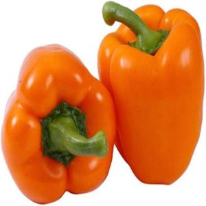 Fresh Orange Capsicum