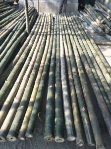 Bamboo Pole