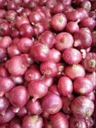 B Grade Red Onion, Packaging Type : Gunny Bag, Speciality : Hygienic