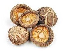 Dried Shiitake Mushroom, Packaging Size : 500g, 1Kg, 5Kg, 10Kg