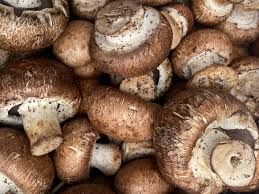 Fresh Cremini Mushroom