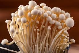 Fresh Enoki Mushroom, Form : Whole, Speciality : Hygienic