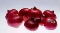 Fresh Nashik Onion, Color : Red, State of Origin : Maharashtra