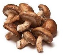 Fresh Shiitake Mushroom