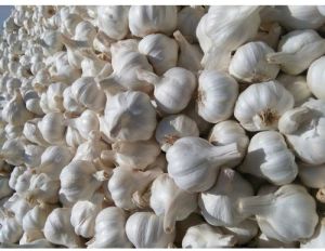 Natural Desi Garlic