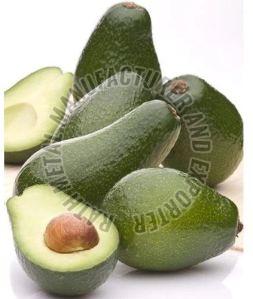 Fresh  Avocado Fruit