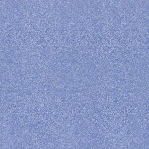 300X300mm BFM Anti-Skid EC Blue Floor Tile