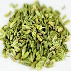 Fennel Seeds, Color : Green, Packaging Type : Packet