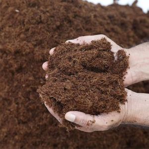 Grow Better Coco Peat Powder 10-20%, Packaging Size : 50kg, 25kg