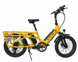 C064 Dynem Cargo Electric Bicycle