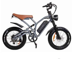 C077 Dynem Revival Electric Bicycle