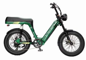 C079 Dynem Pulse Electric Bicycle