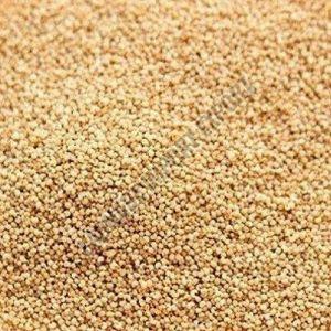 Crunchy Brown Poppy Seeds, Packaging Type : Packet For Cooking, Spice