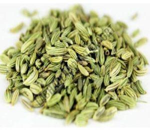 Common Fennel Seeds, Color : Green, Packaging Type : Packet, Specialities : Pure