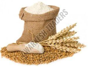 Wheat Flour, Color : White, Packaging Type : Plastic Bag, Packaging Size : 20-25kg