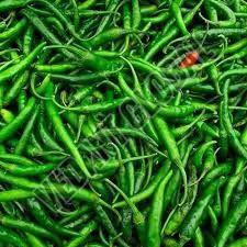 Fresh G4 Green Chilli, Packaging Type : Paper Box, Packaging Size : 5-10 Kg For Cooking