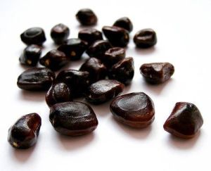 Natural Tamarind Seeds, Color : Brown Raw