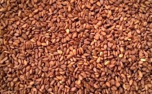 Natural Whole Sesame Seed, Color : Brown 9%