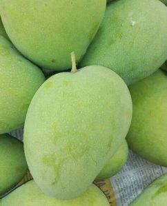 Fresh Green Banginapalli Mango