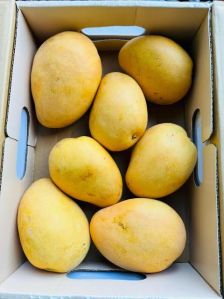 Natural Fresh Yellow Banginapalli Mango, State Of Origin : India, Packaging Type : Paper Box, Packaging Size : 10Kg