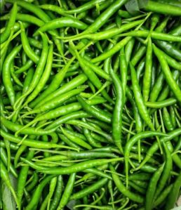 Green Chilli