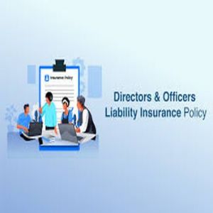 Director & Officer Liability Insurance Services