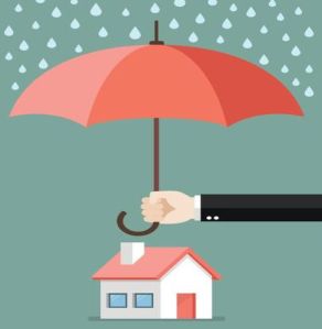 Rain Insurance Services