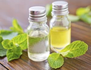 Mentha Oil