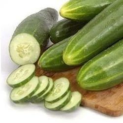 Fresh Cucumber