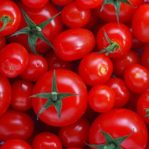 Organic Fresh Tomato, Color : Red, Packaging Size : 5-25kg