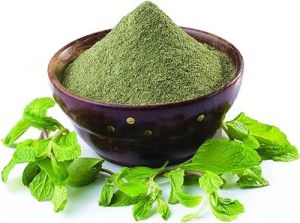 Mint Powder, Packaging Size : 5-50kg, Grade : Food Grade