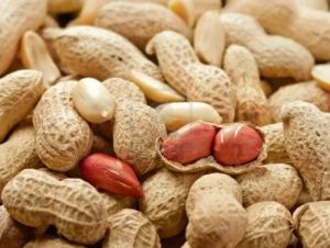 Shelled Peanuts