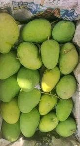 Mangoes