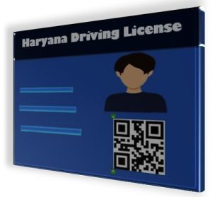 Driving License Consultant